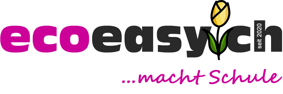 Logo ecoeasy.ch - Wirtschaft lernen online leicht gemacht - Schritt fuer Schritt erklaert